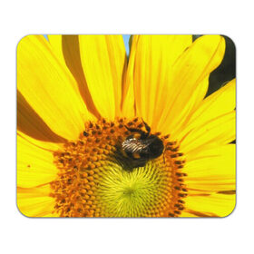 Коврик прямоугольный с принтом пчела на подсолнухе в Белгороде, натуральный каучук | размер 230 х 185 мм; запечатка лицевой стороны | Тематика изображения на принте: лето | насекомое | подсолнух | пчела