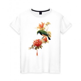 Женская футболка хлопок с принтом экзотическая птица в Белгороде, 100% хлопок | прямой крой, круглый вырез горловины, длина до линии бедер, слегка спущенное плечо | весна | девушкам | птицы | цветы