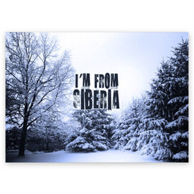 Поздравительная открытка с принтом Я из Сибири в Белгороде, 100% бумага | плотность бумаги 280 г/м2, матовая, на обратной стороне линовка и место для марки
 | Тематика изображения на принте: siberia | зима | россия | сибирь | снег | холод