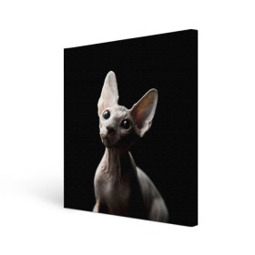 Холст квадратный с принтом Сфинкс в Белгороде, 100% ПВХ |  | Тематика изображения на принте: black | cat | взгляд | кот | котик | котэ | кошка | сфинкс | уши | черный