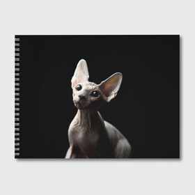 Альбом для рисования с принтом Сфинкс в Белгороде, 100% бумага
 | матовая бумага, плотность 200 мг. | Тематика изображения на принте: black | cat | взгляд | кот | котик | котэ | кошка | сфинкс | уши | черный