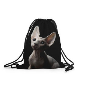 Рюкзак-мешок 3D с принтом Сфинкс в Белгороде, 100% полиэстер | плотность ткани — 200 г/м2, размер — 35 х 45 см; лямки — толстые шнурки, застежка на шнуровке, без карманов и подкладки | black | cat | взгляд | кот | котик | котэ | кошка | сфинкс | уши | черный