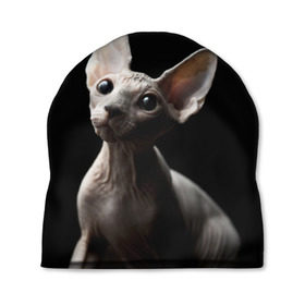 Шапка 3D с принтом Сфинкс в Белгороде, 100% полиэстер | универсальный размер, печать по всей поверхности изделия | black | cat | взгляд | кот | котик | котэ | кошка | сфинкс | уши | черный