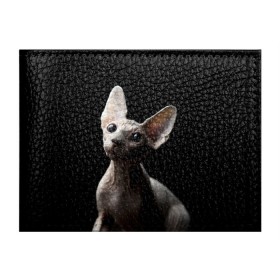Обложка для студенческого билета с принтом Сфинкс в Белгороде, натуральная кожа | Размер: 11*8 см; Печать на всей внешней стороне | Тематика изображения на принте: black | cat | взгляд | кот | котик | котэ | кошка | сфинкс | уши | черный
