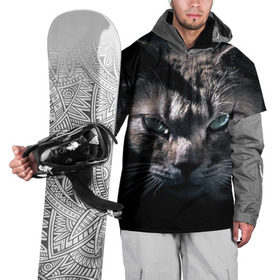 Накидка на куртку 3D с принтом Котик в Белгороде, 100% полиэстер |  | животные | кот | котенок | котик | кошка