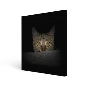 Холст квадратный с принтом Котик в Белгороде, 100% ПВХ |  | животные | кот | котенок | котик | кошка