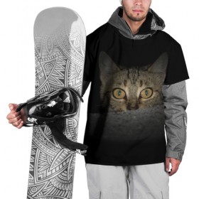 Накидка на куртку 3D с принтом Котик в Белгороде, 100% полиэстер |  | животные | кот | котенок | котик | кошка