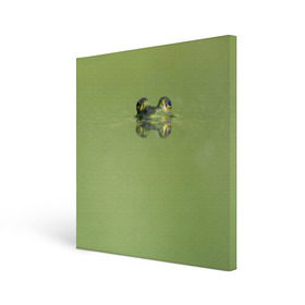 Холст квадратный с принтом Лягушка в Белгороде, 100% ПВХ |  | Тематика изображения на принте: болото | жаба | животные | лягушка