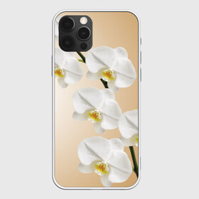 Чехол для iPhone 12 Pro Max с принтом Orhid в Белгороде, Силикон |  | Тематика изображения на принте: девушки | красота | орхидея | прелесть | цветы