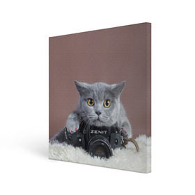 Холст квадратный с принтом Котик фотограф в Белгороде, 100% ПВХ |  | кот | котик | кошка | объектив | фотоаппарат | фотограф