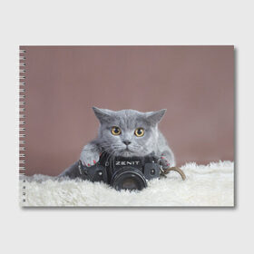 Альбом для рисования с принтом Котик фотограф в Белгороде, 100% бумага
 | матовая бумага, плотность 200 мг. | кот | котик | кошка | объектив | фотоаппарат | фотограф