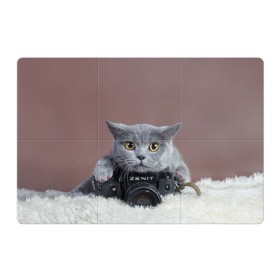 Магнитный плакат 3Х2 с принтом Котик фотограф в Белгороде, Полимерный материал с магнитным слоем | 6 деталей размером 9*9 см | Тематика изображения на принте: кот | котик | кошка | объектив | фотоаппарат | фотограф