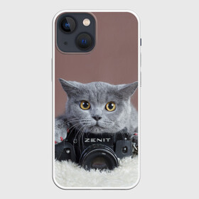 Чехол для iPhone 13 mini с принтом Котик фотограф в Белгороде,  |  | кот | котик | кошка | объектив | фотоаппарат | фотограф