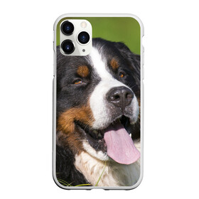 Чехол для iPhone 11 Pro Max матовый с принтом Бернский зенненхунд в Белгороде, Силикон |  | волкодав | дворняжка | домашние животные | любимец | мопс | овчарка | пес | песик | питомец | сенбернар | собака | собачка