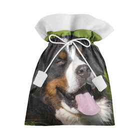 Подарочный 3D мешок с принтом Бернский зенненхунд в Белгороде, 100% полиэстер | Размер: 29*39 см | волкодав | дворняжка | домашние животные | любимец | мопс | овчарка | пес | песик | питомец | сенбернар | собака | собачка