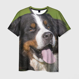 Мужская футболка 3D с принтом Бернский зенненхунд в Белгороде, 100% полиэфир | прямой крой, круглый вырез горловины, длина до линии бедер | волкодав | дворняжка | домашние животные | любимец | мопс | овчарка | пес | песик | питомец | сенбернар | собака | собачка