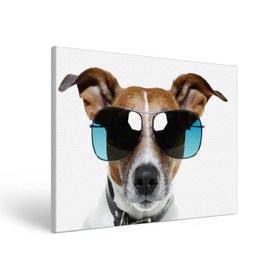 Холст прямоугольный с принтом Джек Рассел в очках в Белгороде, 100% ПВХ |  | волкодав | дворняжка | джек | джек рассел | домашние животные | любимец | мопс | овчарка | пес | песик | питомец | рассел | сенбернар | собака | собачка