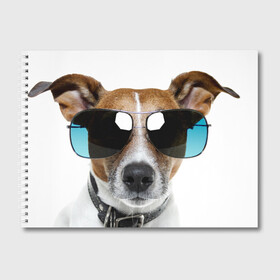 Альбом для рисования с принтом Джек Рассел в очках в Белгороде, 100% бумага
 | матовая бумага, плотность 200 мг. | волкодав | дворняжка | джек | джек рассел | домашние животные | любимец | мопс | овчарка | пес | песик | питомец | рассел | сенбернар | собака | собачка