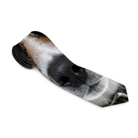 Галстук 3D с принтом Джек Рассел в очках в Белгороде, 100% полиэстер | Длина 148 см; Плотность 150-180 г/м2 | волкодав | дворняжка | джек | джек рассел | домашние животные | любимец | мопс | овчарка | пес | песик | питомец | рассел | сенбернар | собака | собачка