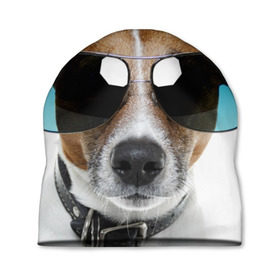 Шапка 3D с принтом Джек Рассел в очках в Белгороде, 100% полиэстер | универсальный размер, печать по всей поверхности изделия | волкодав | дворняжка | джек | джек рассел | домашние животные | любимец | мопс | овчарка | пес | песик | питомец | рассел | сенбернар | собака | собачка