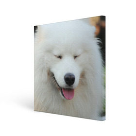 Холст квадратный с принтом Самоед в Белгороде, 100% ПВХ |  | Тематика изображения на принте: далматин | лабрадор | любимец | овчарка | пес | питомец | самоед | собака | собачка | щенок