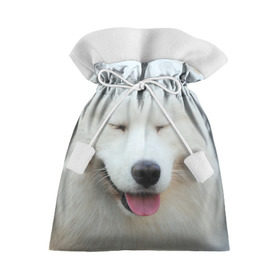 Подарочный 3D мешок с принтом Самоед в Белгороде, 100% полиэстер | Размер: 29*39 см | далматин | лабрадор | любимец | овчарка | пес | питомец | самоед | собака | собачка | щенок