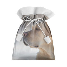 Подарочный 3D мешок с принтом Лабрадор в Белгороде, 100% полиэстер | Размер: 29*39 см | Тематика изображения на принте: далматин | далматинец | дворняга | лабрадор | любимец | овчарка | пес | питомец | самоед | собака | собачка | щенок