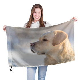 Флаг 3D с принтом Лабрадор в Белгороде, 100% полиэстер | плотность ткани — 95 г/м2, размер — 67 х 109 см. Принт наносится с одной стороны | далматин | далматинец | дворняга | лабрадор | любимец | овчарка | пес | питомец | самоед | собака | собачка | щенок