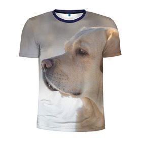 Мужская футболка 3D спортивная с принтом Лабрадор в Белгороде, 100% полиэстер с улучшенными характеристиками | приталенный силуэт, круглая горловина, широкие плечи, сужается к линии бедра | Тематика изображения на принте: далматин | далматинец | дворняга | лабрадор | любимец | овчарка | пес | питомец | самоед | собака | собачка | щенок
