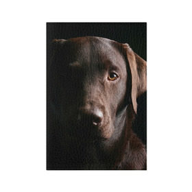 Обложка для паспорта матовая кожа с принтом Лабрадор в Белгороде, натуральная матовая кожа | размер 19,3 х 13,7 см; прозрачные пластиковые крепления | Тематика изображения на принте: далматин | далматинец | дворняга | лабрадор | любимец | овчарка | пес | питомец | самоед | собака | собачка | щенок