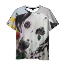 Мужская футболка 3D с принтом Далматин в Белгороде, 100% полиэфир | прямой крой, круглый вырез горловины, длина до линии бедер | акита | акита ину | далматин | далматинец | дворняга | ину | лабрадор | любимец | овчарка | пес | питомец | самоед | сиба | сиба ину | собака | собачка | щенок
