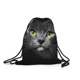 Рюкзак-мешок 3D с принтом Кошачий взгляд в Белгороде, 100% полиэстер | плотность ткани — 200 г/м2, размер — 35 х 45 см; лямки — толстые шнурки, застежка на шнуровке, без карманов и подкладки | взгляд | взор | глаза | киска | кот | котёнок | кошка | усы