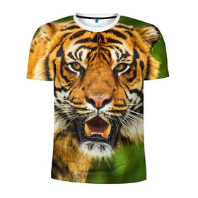 Мужская футболка 3D спортивная с принтом Тигр в Белгороде, 100% полиэстер с улучшенными характеристиками | приталенный силуэт, круглая горловина, широкие плечи, сужается к линии бедра | Тематика изображения на принте: дикая кошка | животное | клыки | лев | тигр. tiger | хищник