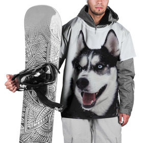 Накидка на куртку 3D с принтом Сибирский хаски в Белгороде, 100% полиэстер |  | Тематика изображения на принте: взгляд | голубые глаза | зима | сибирь | снег | собака | хаски | хаски бандит | холод