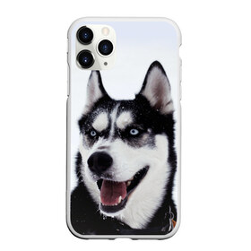 Чехол для iPhone 11 Pro матовый с принтом Сибирский хаски в Белгороде, Силикон |  | взгляд | голубые глаза | зима | сибирь | снег | собака | хаски | хаски бандит | холод