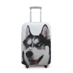 Чехол для чемодана 3D с принтом Сибирский хаски в Белгороде, 86% полиэфир, 14% спандекс | двустороннее нанесение принта, прорези для ручек и колес | взгляд | голубые глаза | зима | сибирь | снег | собака | хаски | хаски бандит | холод