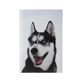Обложка для паспорта матовая кожа с принтом Сибирский хаски в Белгороде, натуральная матовая кожа | размер 19,3 х 13,7 см; прозрачные пластиковые крепления | взгляд | голубые глаза | зима | сибирь | снег | собака | хаски | хаски бандит | холод