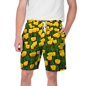 Мужские шорты 3D с принтом Жёлтые тюльпаны в Белгороде,  полиэстер 100% | прямой крой, два кармана без застежек по бокам. Мягкая трикотажная резинка на поясе, внутри которой широкие завязки. Длина чуть выше колен | поле | цветы | яркий