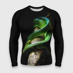 Мужской рашгард 3D с принтом Змея на груди в Белгороде,  |  | Тематика изображения на принте: гадюка | дерево | джунгли | зелёный змей | змея | кобра | природа | удав