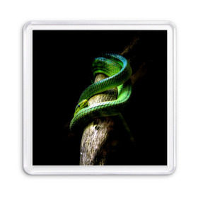 Магнит 55*55 с принтом Змея на груди в Белгороде, Пластик | Размер: 65*65 мм; Размер печати: 55*55 мм | гадюка | дерево | джунгли | зелёный змей | змея | кобра | природа | удав