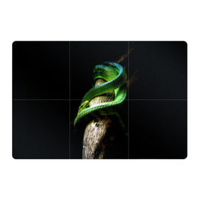 Магнитный плакат 3Х2 с принтом Змея на груди в Белгороде, Полимерный материал с магнитным слоем | 6 деталей размером 9*9 см | гадюка | дерево | джунгли | зелёный змей | змея | кобра | природа | удав