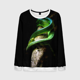 Мужской свитшот 3D с принтом Змея на груди в Белгороде, 100% полиэстер с мягким внутренним слоем | круглый вырез горловины, мягкая резинка на манжетах и поясе, свободная посадка по фигуре | гадюка | дерево | джунгли | зелёный змей | змея | кобра | природа | удав
