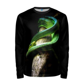 Мужской лонгслив 3D с принтом Змея на груди в Белгороде, 100% полиэстер | длинные рукава, круглый вырез горловины, полуприлегающий силуэт | гадюка | дерево | джунгли | зелёный змей | змея | кобра | природа | удав