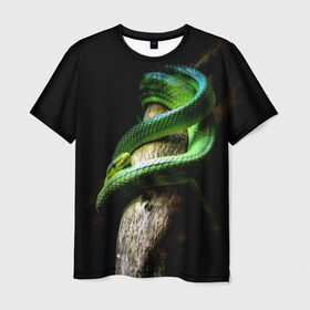 Мужская футболка 3D с принтом Змея на груди в Белгороде, 100% полиэфир | прямой крой, круглый вырез горловины, длина до линии бедер | Тематика изображения на принте: гадюка | дерево | джунгли | зелёный змей | змея | кобра | природа | удав