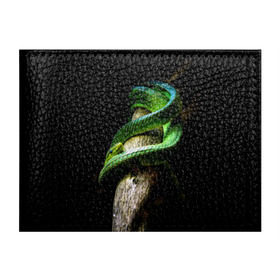 Обложка для студенческого билета с принтом Змея на груди в Белгороде, натуральная кожа | Размер: 11*8 см; Печать на всей внешней стороне | гадюка | дерево | джунгли | зелёный змей | змея | кобра | природа | удав