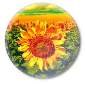 Значок с принтом Подсолнухи в Белгороде,  металл | круглая форма, металлическая застежка в виде булавки | лето | подсолнух | поле | природа | цветок | яркая