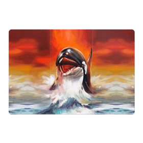 Магнитный плакат 3Х2 с принтом Касатка в Белгороде, Полимерный материал с магнитным слоем | 6 деталей размером 9*9 см | Тематика изображения на принте: art | blood | bright | color | creative | fantasy | ocean | orca whale | paint | picture | predator | sea | искусство | картина | касатка | кит | краски | кровь | море | океан | творчество | фантазия | хищник | цвет | яркие