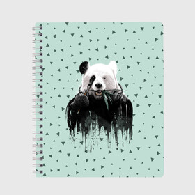 Тетрадь с принтом Панда-художник в Белгороде, 100% бумага | 48 листов, плотность листов — 60 г/м2, плотность картонной обложки — 250 г/м2. Листы скреплены сбоку удобной пружинной спиралью. Уголки страниц и обложки скругленные. Цвет линий — светло-серый
 | animal | art | artist | bear | beast | design | panda | style | арт | дизайн | животное | зверь | кисть | краски | медведь | панда | стиль | художник