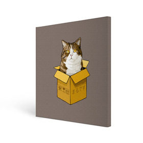 Холст квадратный с принтом Maru в Белгороде, 100% ПВХ |  | cat | maru | коробка | кот в коробке | кот мару | котейка | кошка | мару | прикол