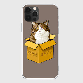 Чехол для iPhone 12 Pro Max с принтом Maru в Белгороде, Силикон |  | cat | maru | коробка | кот в коробке | кот мару | котейка | кошка | мару | прикол